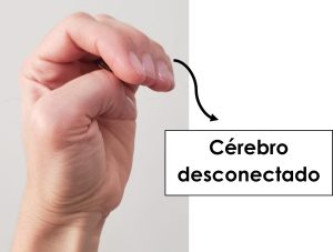 Cerebro