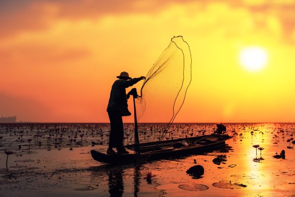 Fisherman in action when fishing in the lake , Thailand