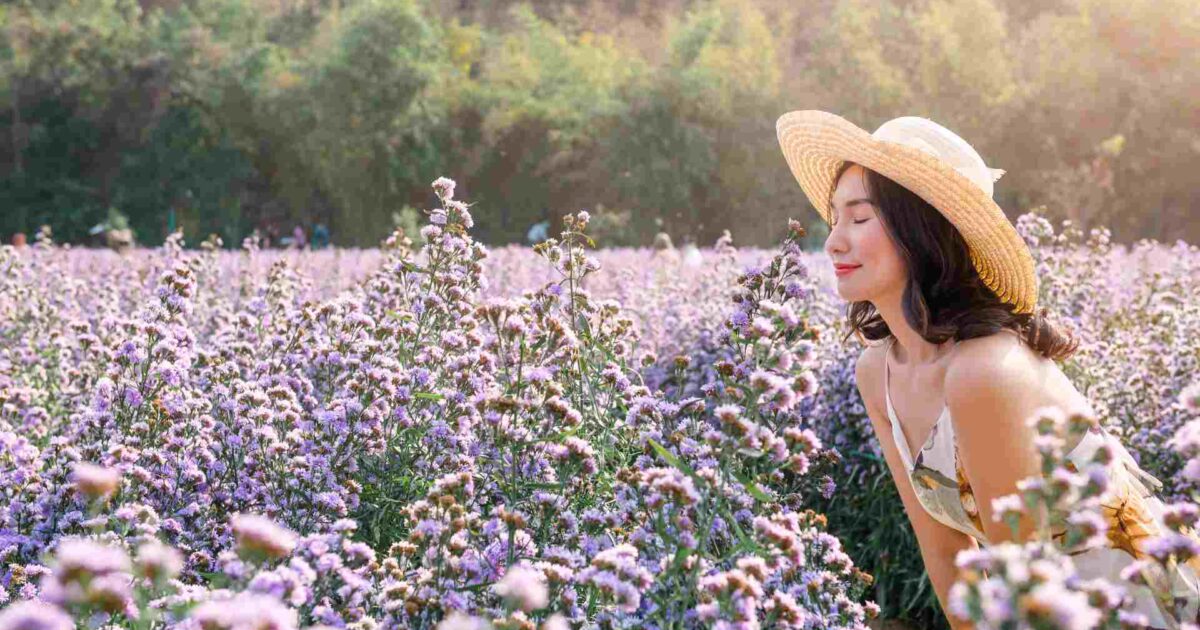 arraigados em deus para florecer entre culturas