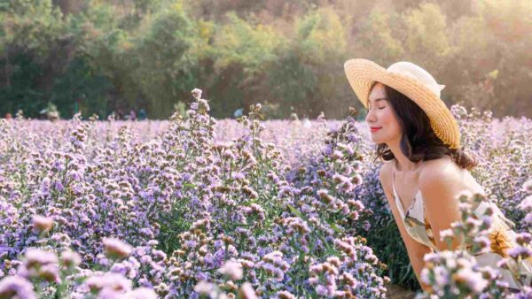 arraigados em deus para florecer entre culturas