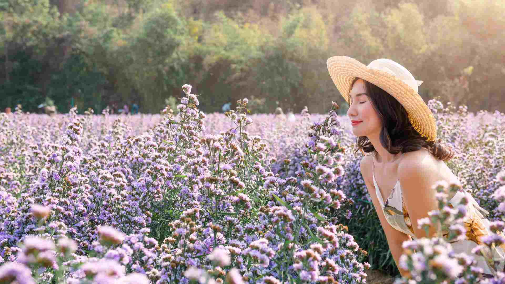 arraigados em deus para florecer entre culturas
