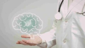 entendendo nosso cerebro em meio às transições