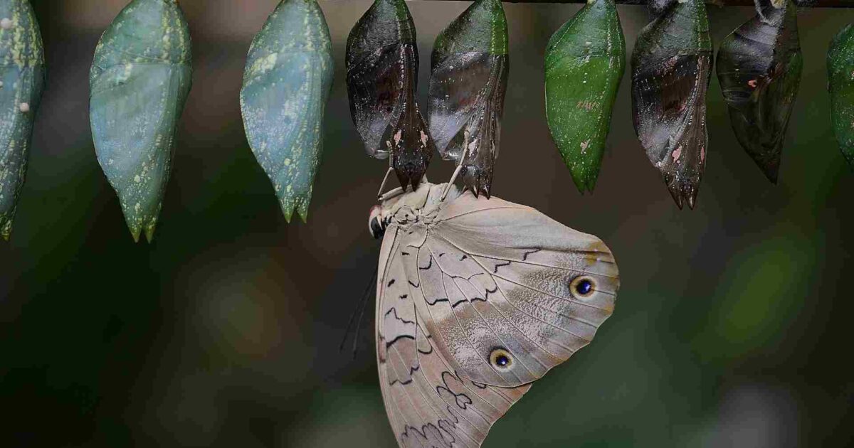 momentos espirituais caminho para a transformação
