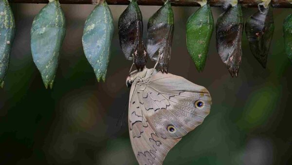 momentos espirituais caminho para a transformação