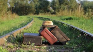 novo campo transcultural